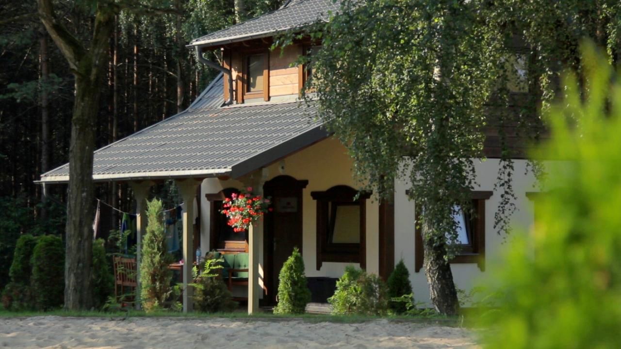 Отель Hotel Niedźwiadek Вдзыдзе-Кишевске-30